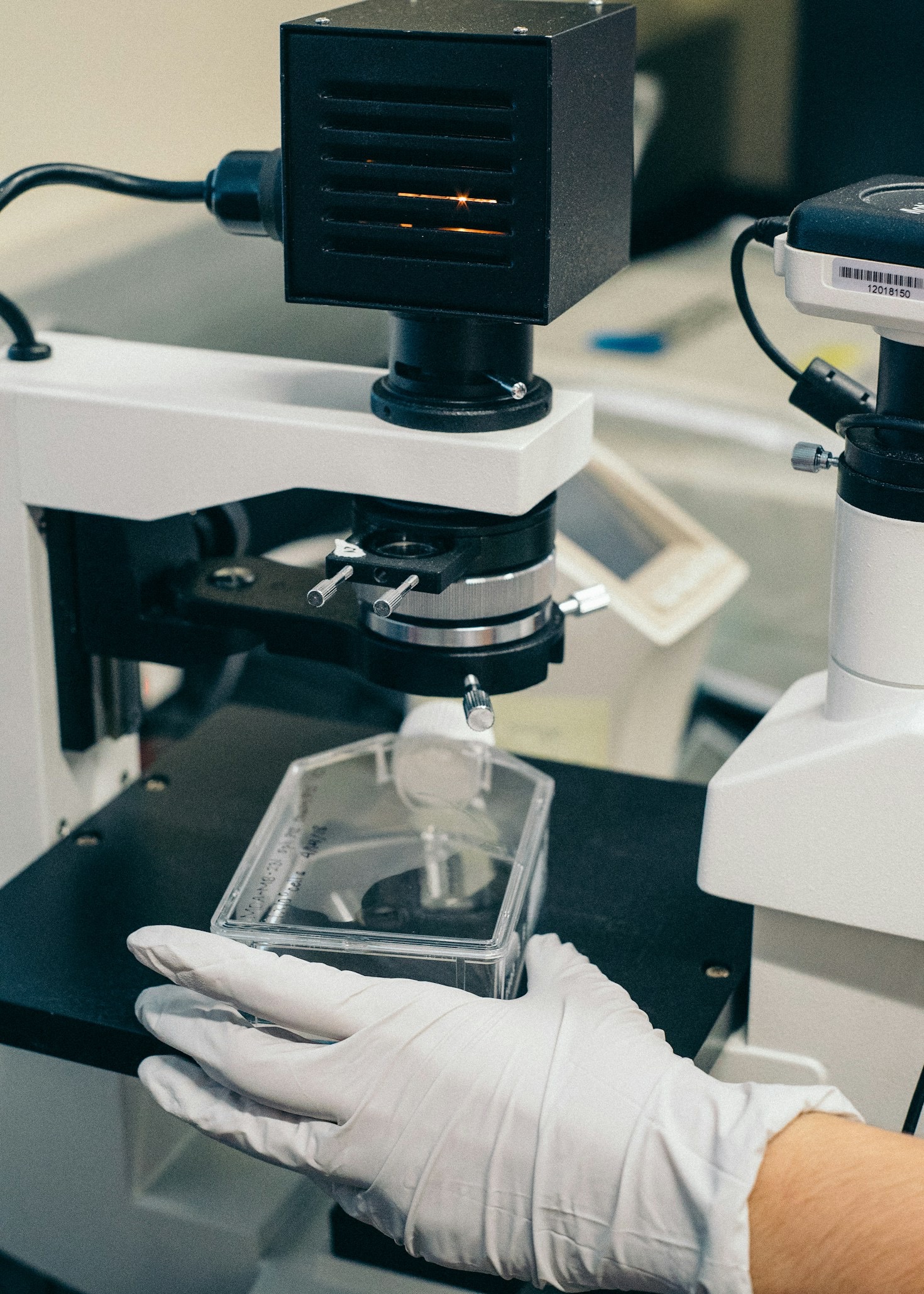 Why Photosynthesis Is a Life-Changer