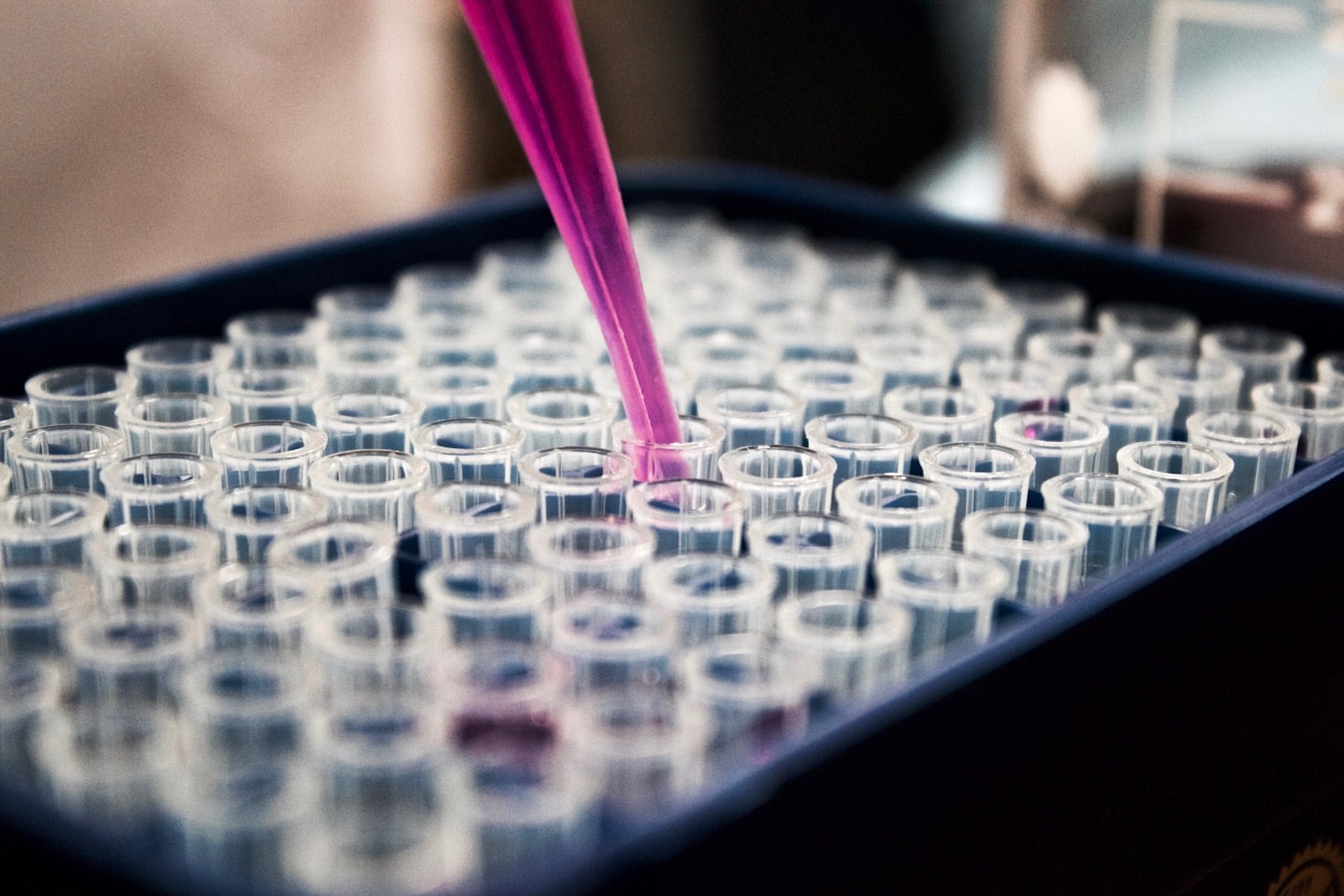 The Role of Biology in Solving Global Challenges